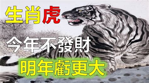 屬虎今年運勢|生肖虎：屬虎2024年運勢及運程，2024年屬虎人的全年每月運勢。